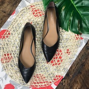 Calvin Klein 'Gailia' Leather Pointy Toe Flat